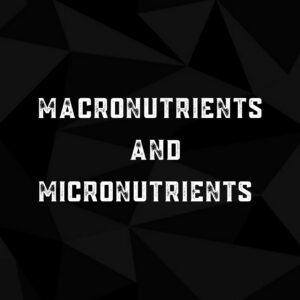 macronutrients and micronutrients